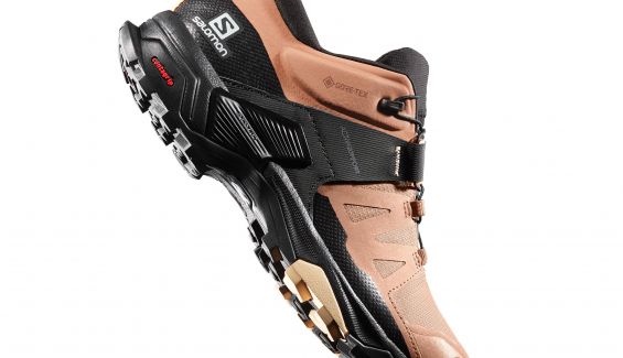 salomon2 salomon2