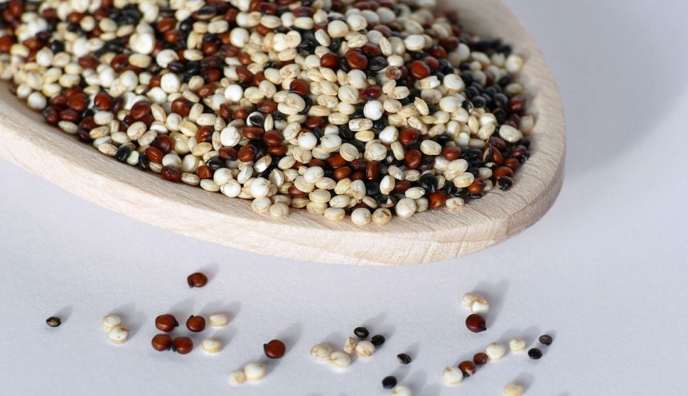 quinoa 5909543 1280 quinoa 5909543 1280