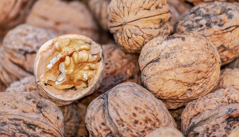 nuts 4062624 1280 nuts 4062624 1280