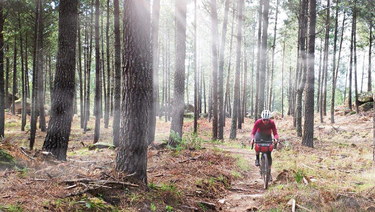 330 km con la focus atlas 330 km con la focus atlas