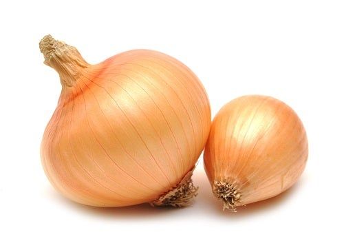 cebolla cebolla