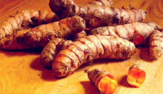 curcuma curcuma