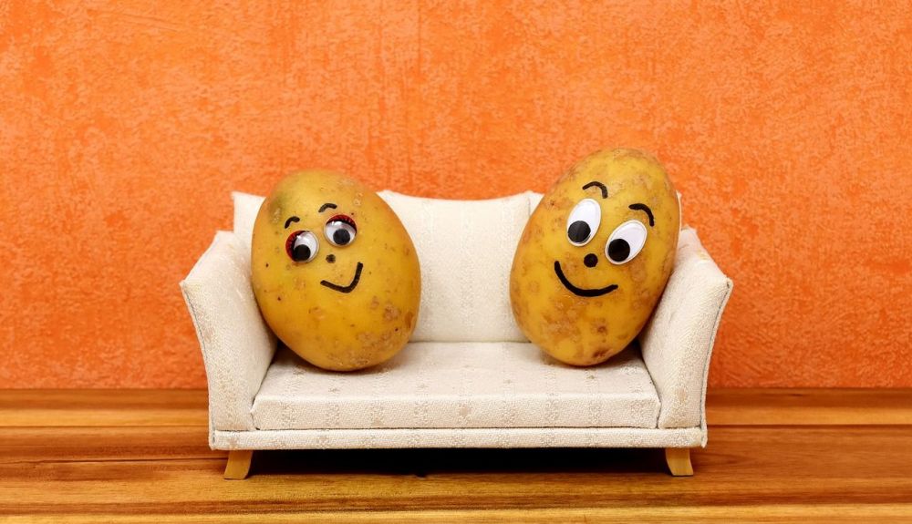 couch potatoes 3116580 1280 couch potatoes 3116580 1280