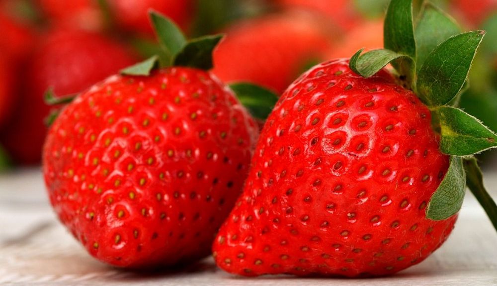 strawberries 3089148 1280 strawberries 3089148 1280