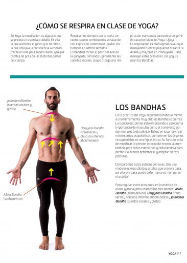 Los Bandhas de Yoga Los Bandhas de Yoga