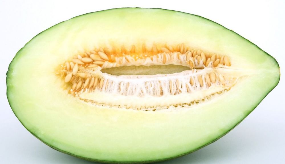 food 1239303 1280