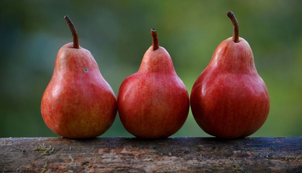 pears 1209915 1280