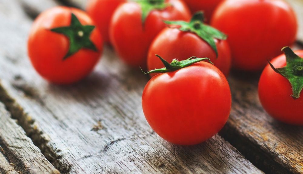 tomatoes 4238247 1280