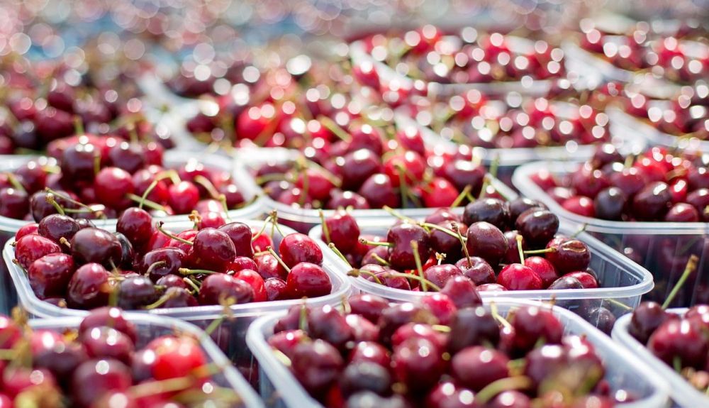 cherries 1433525 1280
