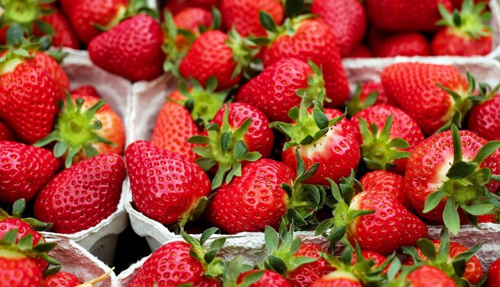 strawberries 1396330 1280