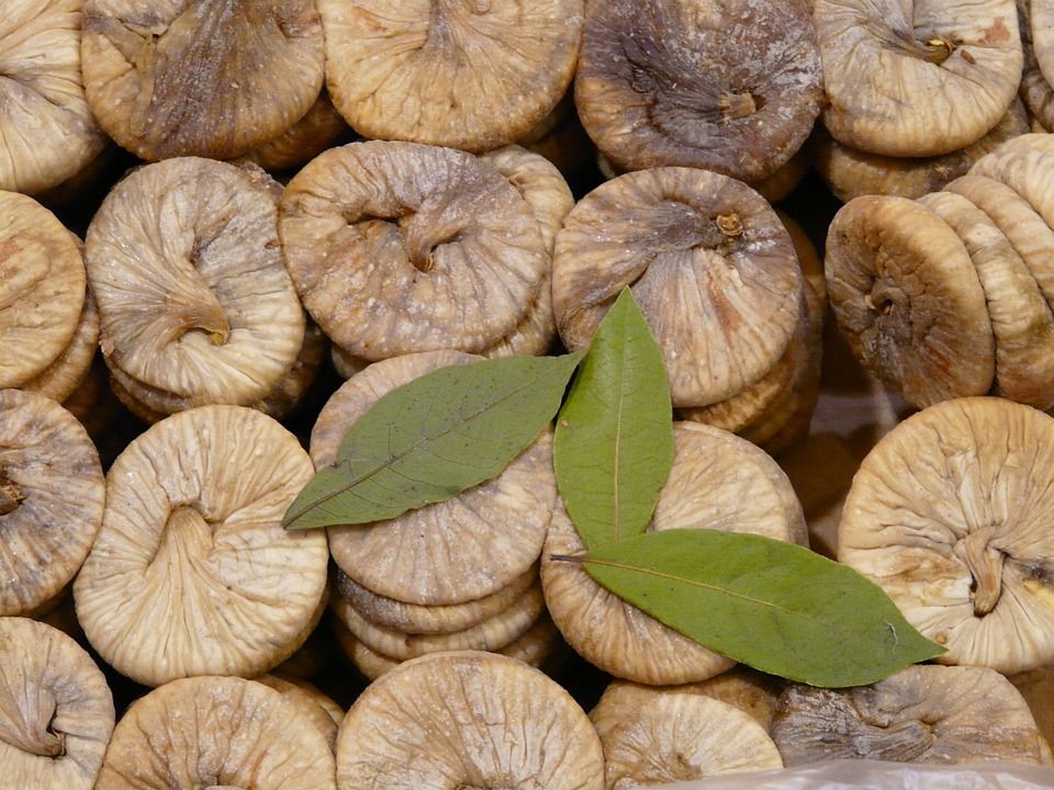 figs 73763 960 720