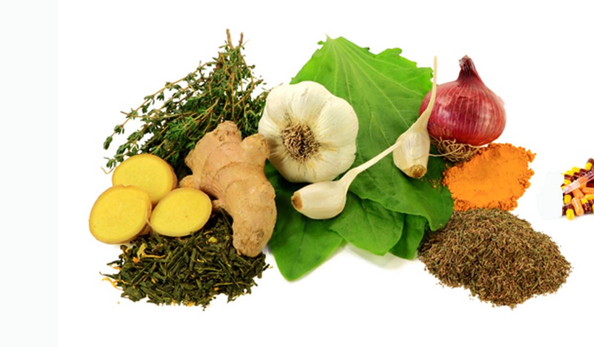ajo cebolla jengibre antibiotico natural ajo cebolla jengibre antibiotico natural