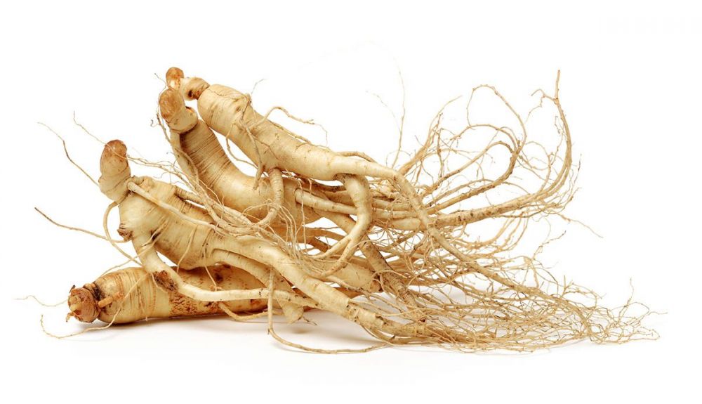 raiz ginseng iStock 960095168 raiz ginseng iStock 960095168