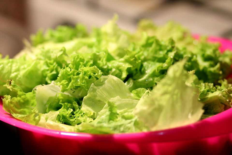 food 1834645 960 720