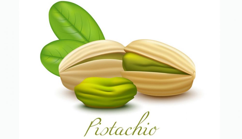 pistacho dibujo