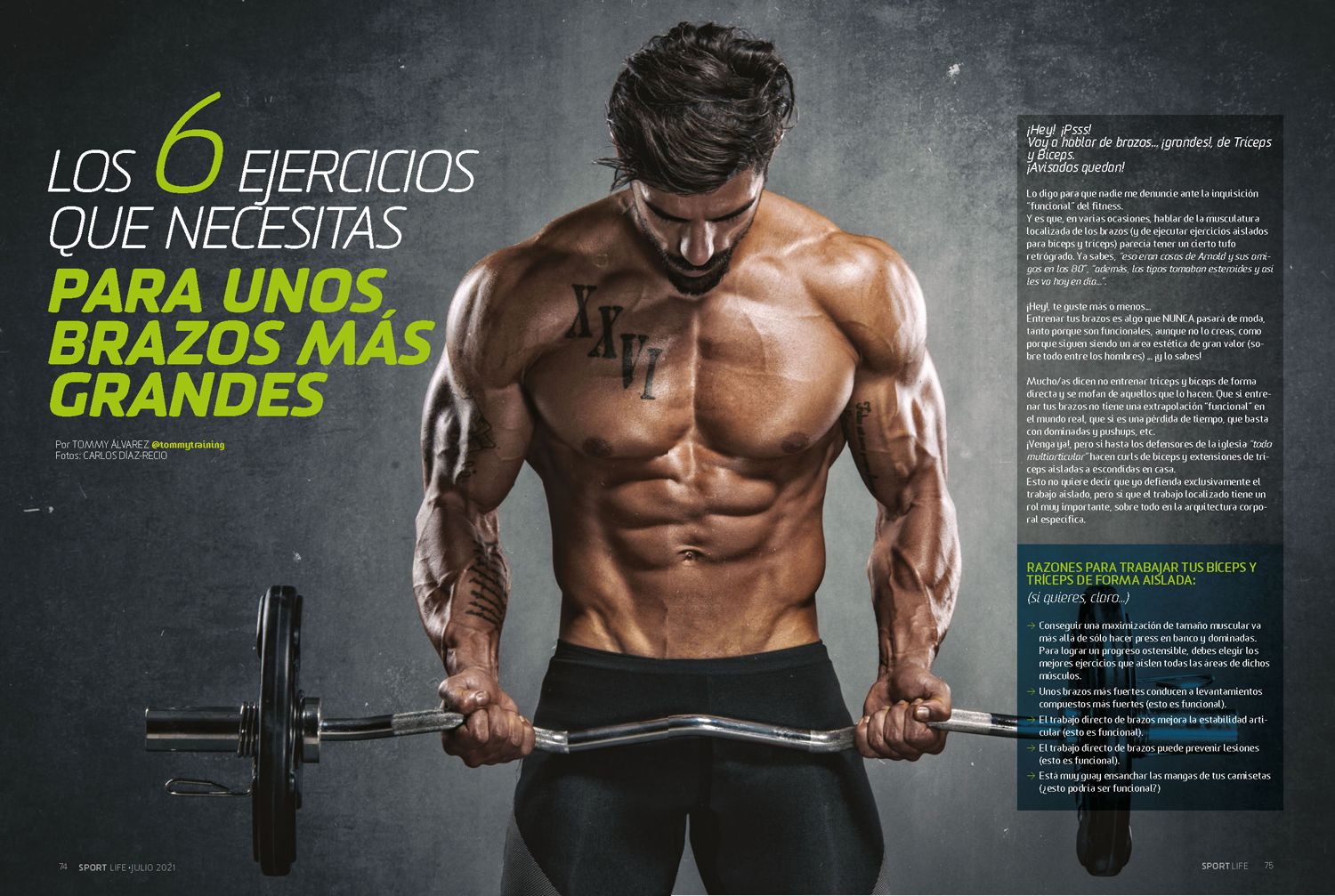 Brazos fuertes y grandes con 6 ejercicios - Sport Life Brazos fuertes y grandes con 6 ejercicios - Sport Life