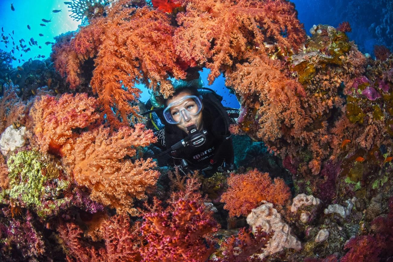 La forma más sencilla y segura de iniciarte en el buceo