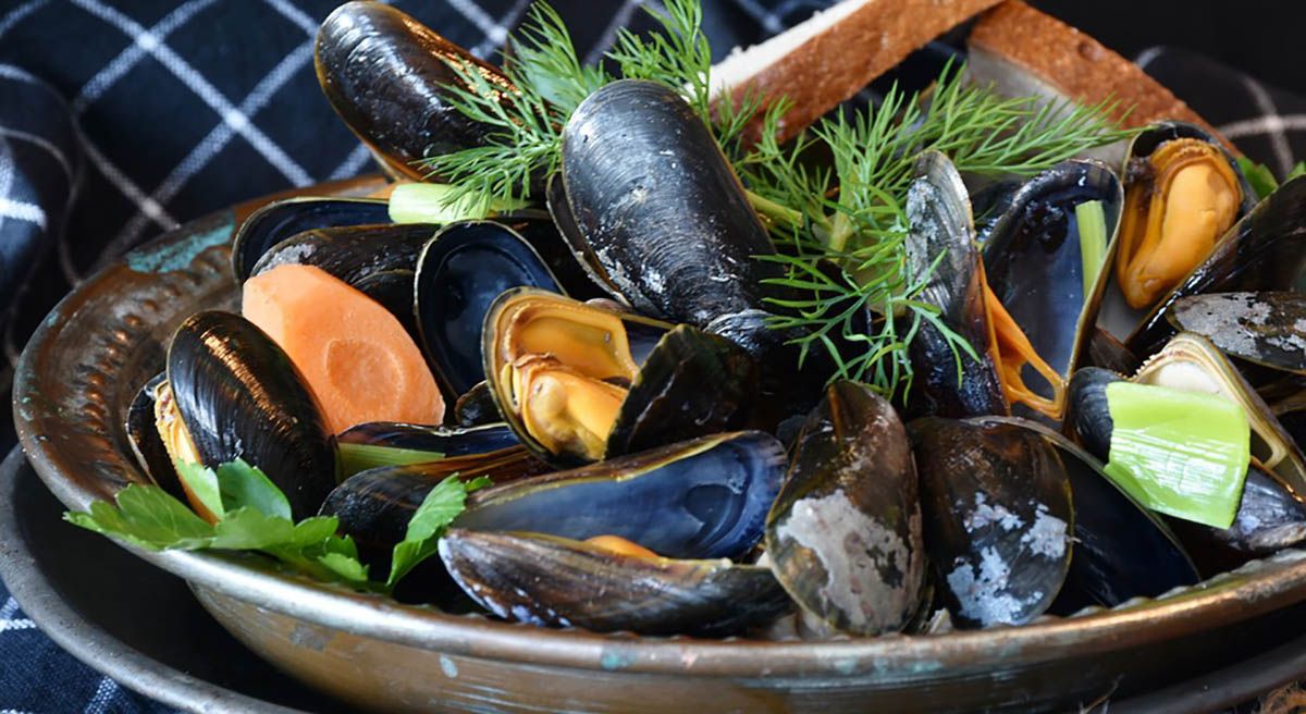 mussels 3148452 960 720