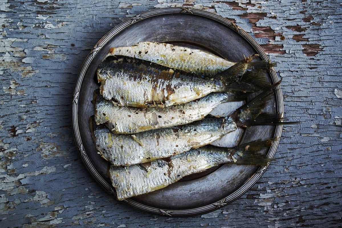 sardines 1489630 1280