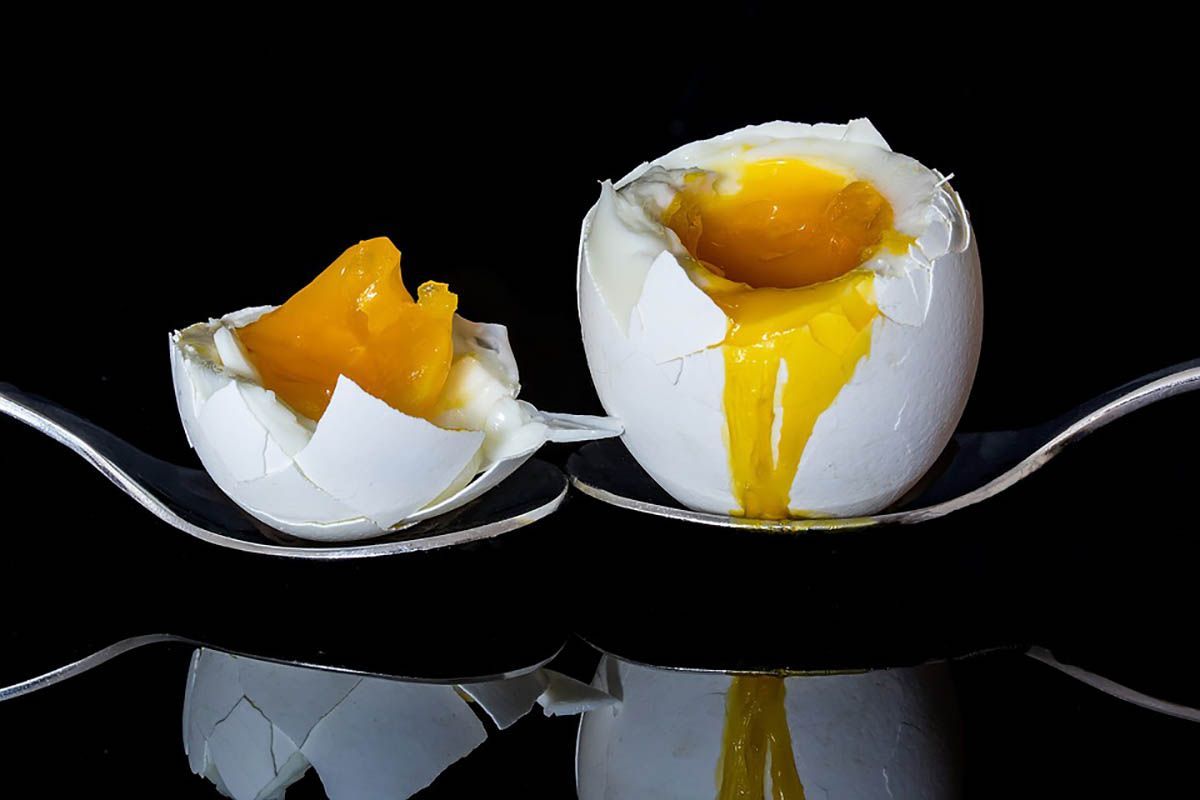 egg 2161877 960 720