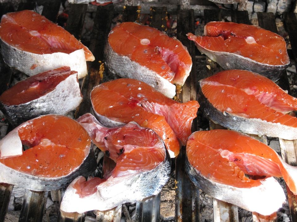 salmon 201017 960 720 salmon 201017 960 720