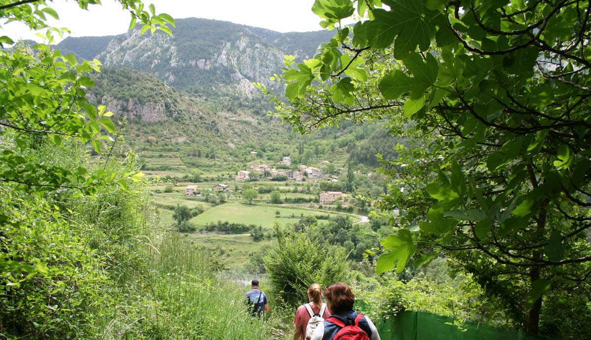 Vall d'Alinyà. Alt Urgell - Miquel Parramont