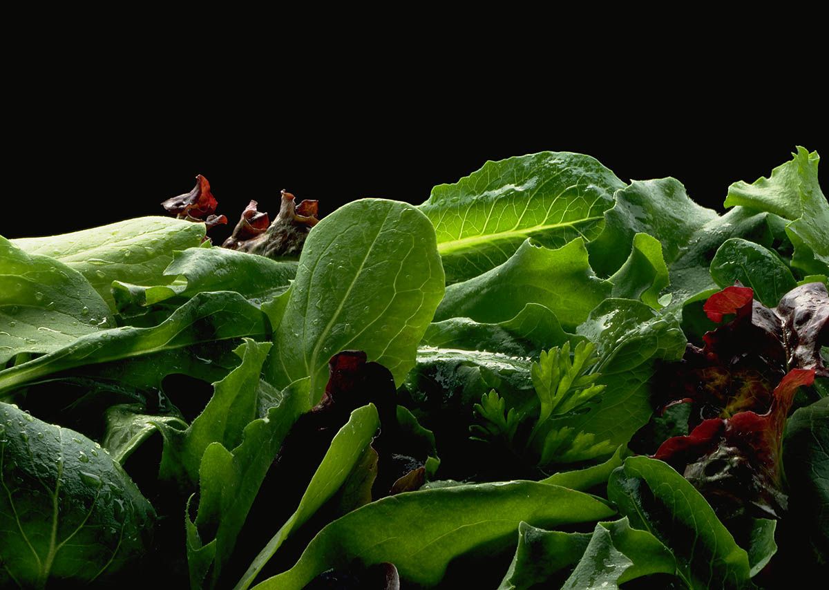 verduras hoja verde