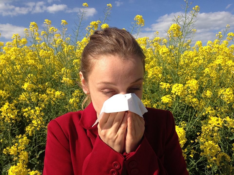 allergy 1738191 960 720 allergy 1738191 960 720