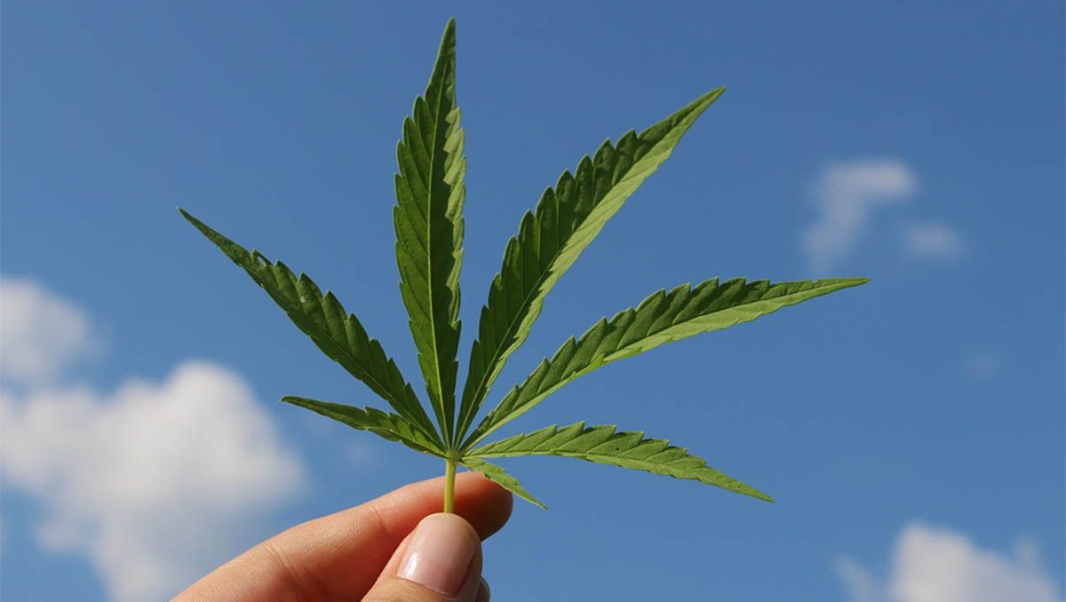 El cannabis se ha legalizado para su uso durante los Juegos Olímpicos
