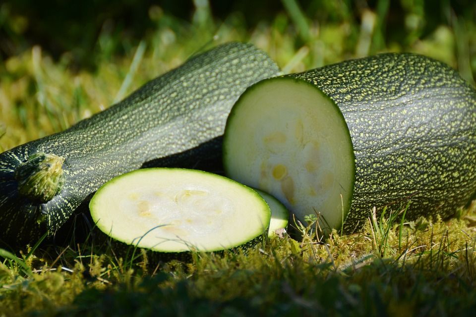 El calabacín, un alimento con muchas propiedades y pocas calorías
