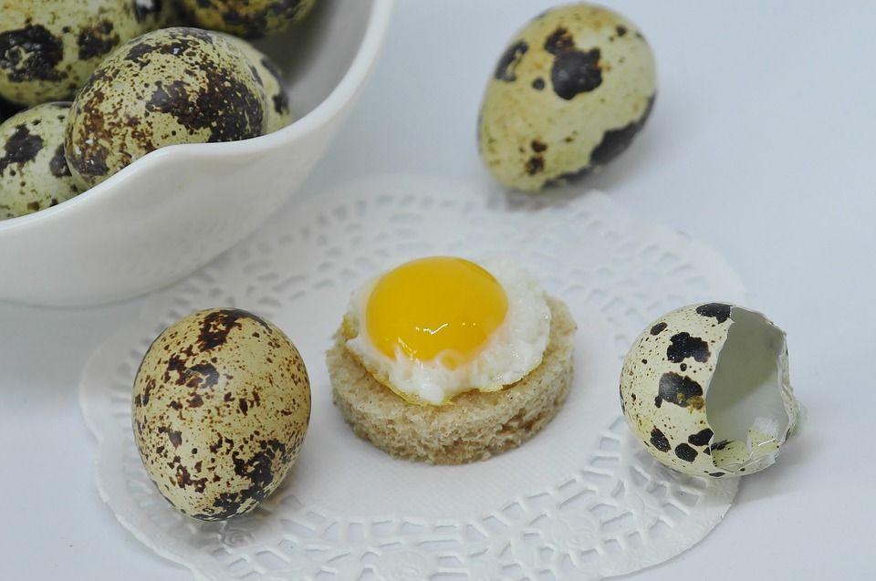 egg 3240284 960 720 egg 3240284 960 720