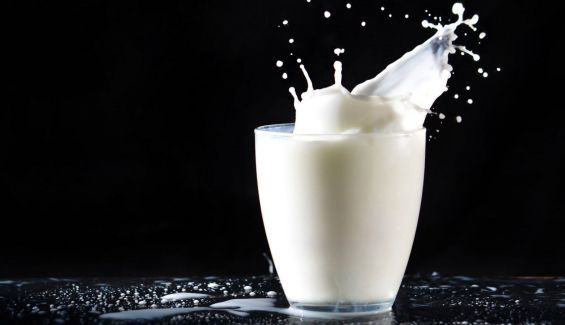 leche leche