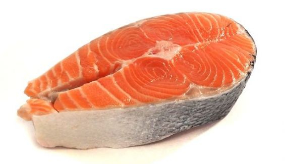 salmon salmon