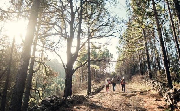El Camino de Santiago en Gran Canaria, protagonista de la X edición del Gran Canaria Walking Festival