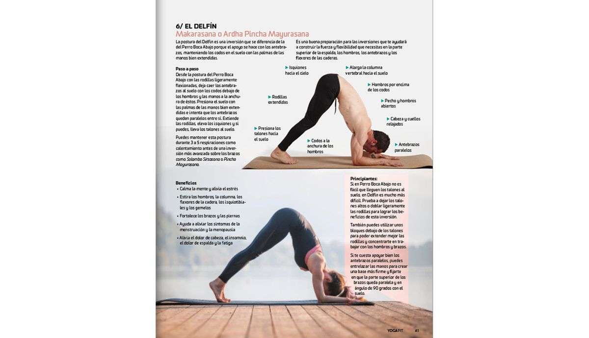 Postura del Delfín para Principiantes en YogaFit 5