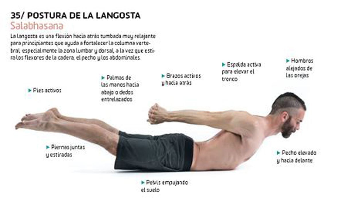Postura de la Langosta o Saltamontes (Salabhasana), Puntos claves