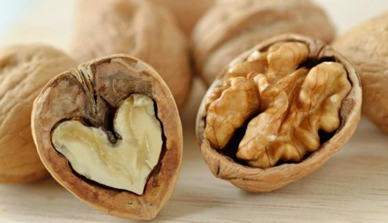 nueces