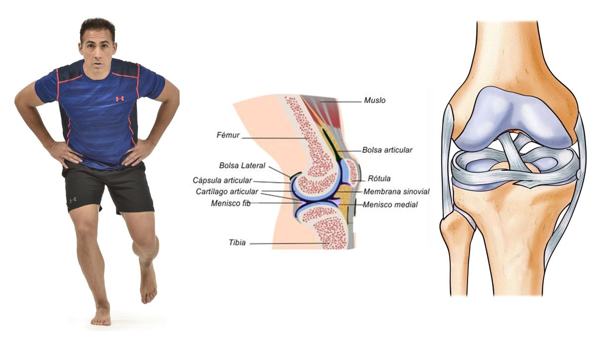 Rodilla 1 Rodilla 1