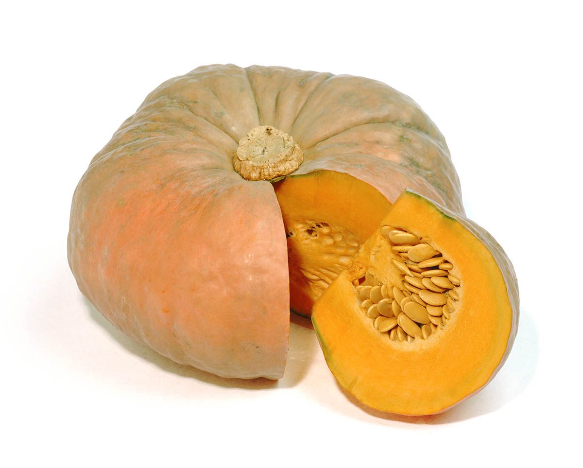calabaza calabaza