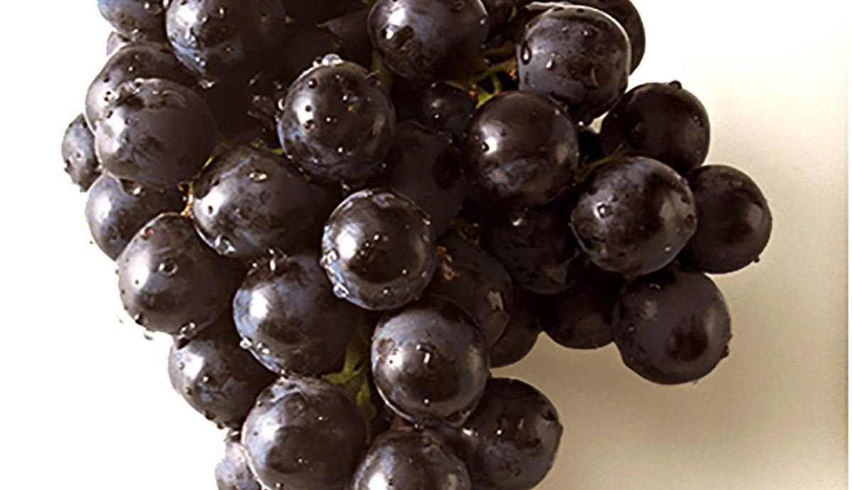 uvas negras uvas negras