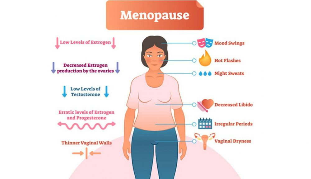 infografia mujer menopausia infografia mujer menopausia