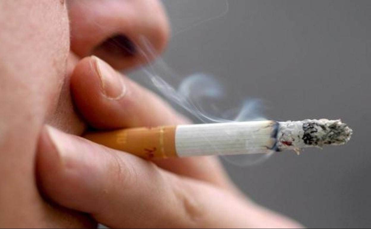 tabaco kva U120624400067KyC 1248x770@Diario Sur tabaco kva U120624400067KyC 1248x770@Diario Sur