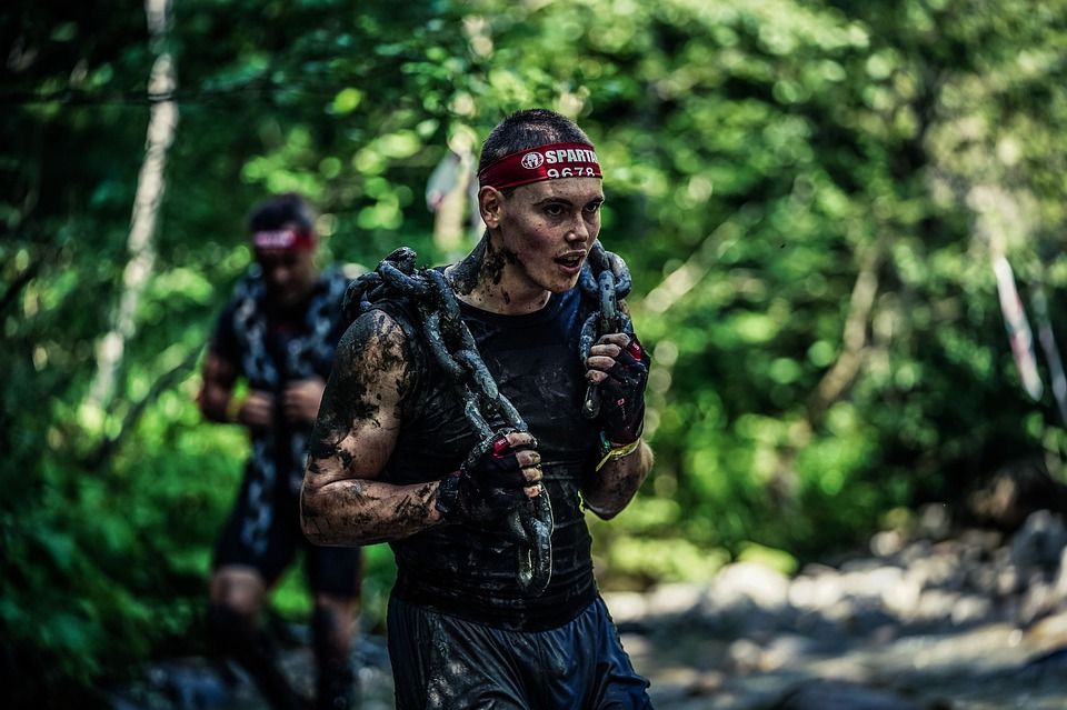 spartan 4649326 960 720 spartan 4649326 960 720
