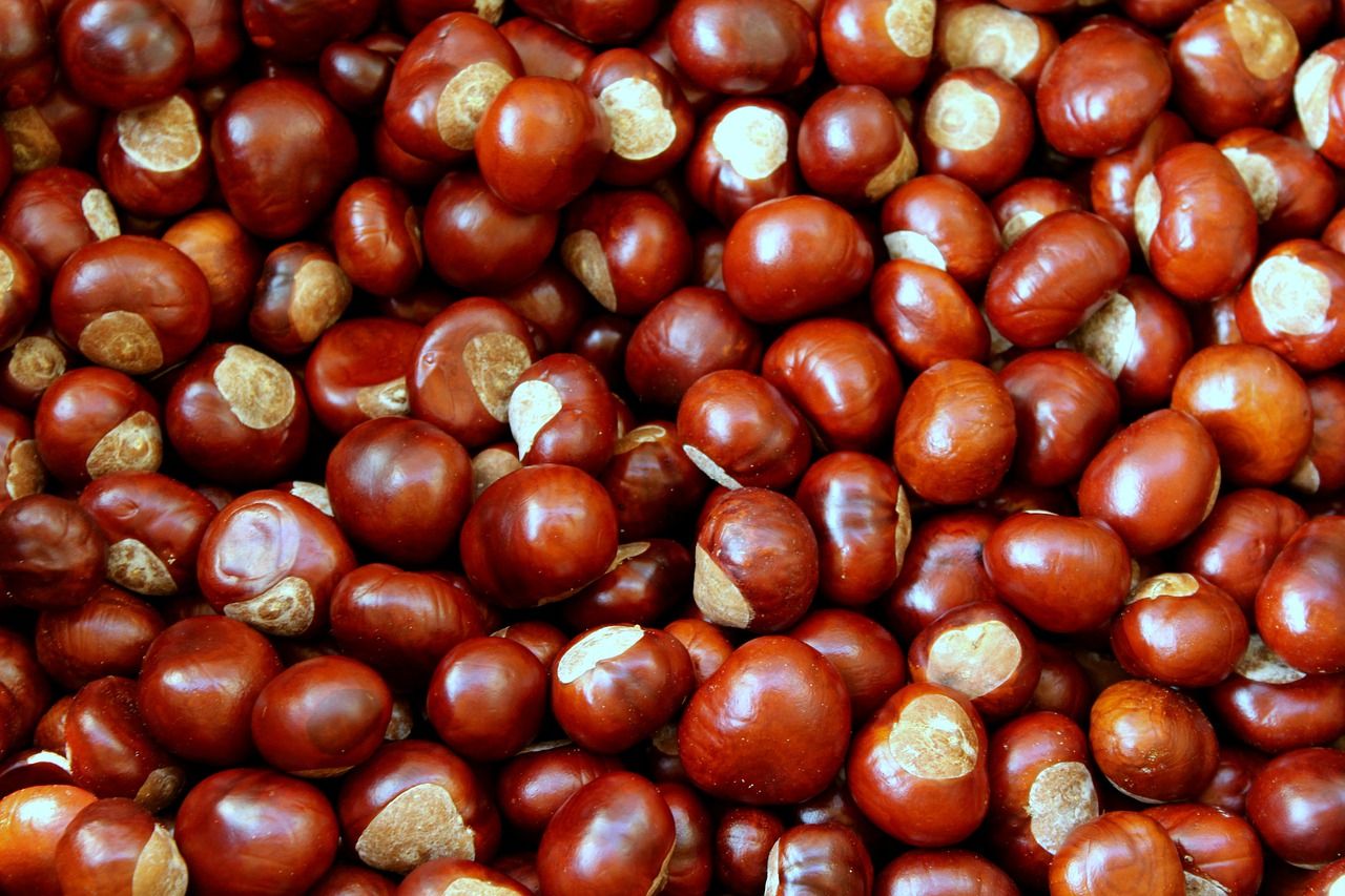 chestnuts gb01ece9bf 1280 chestnuts gb01ece9bf 1280