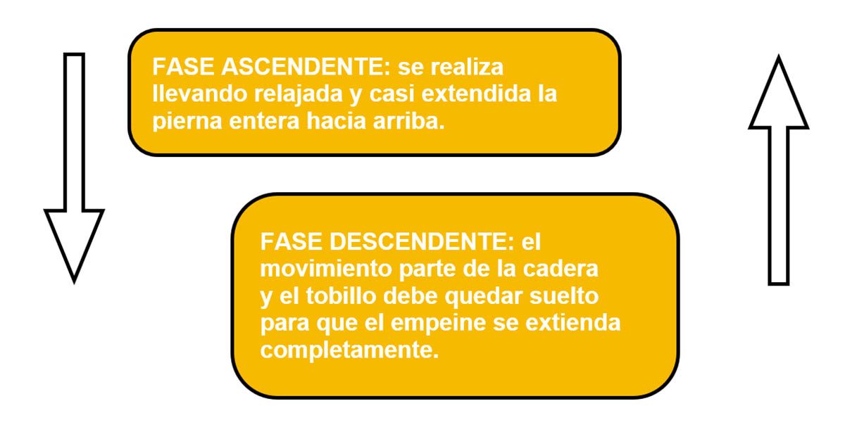Fases Fases