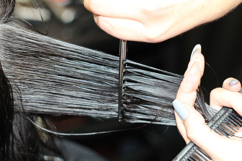 hairdressing 1516352 960 720 hairdressing 1516352 960 720