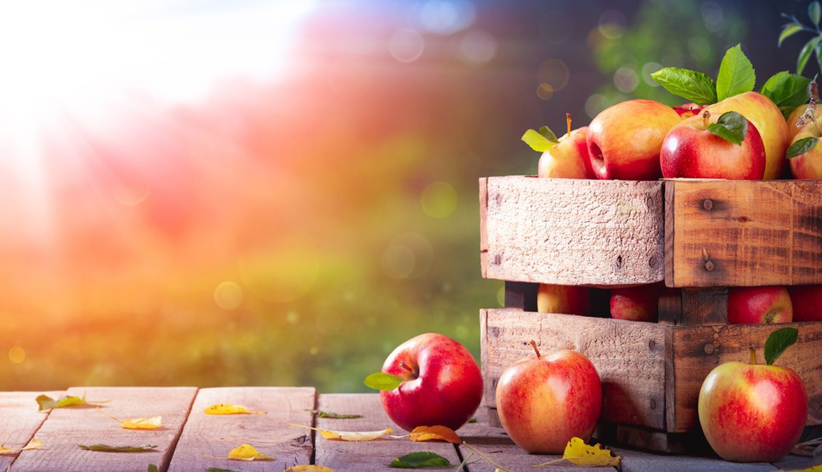 Recetas de manzanas para el otoño