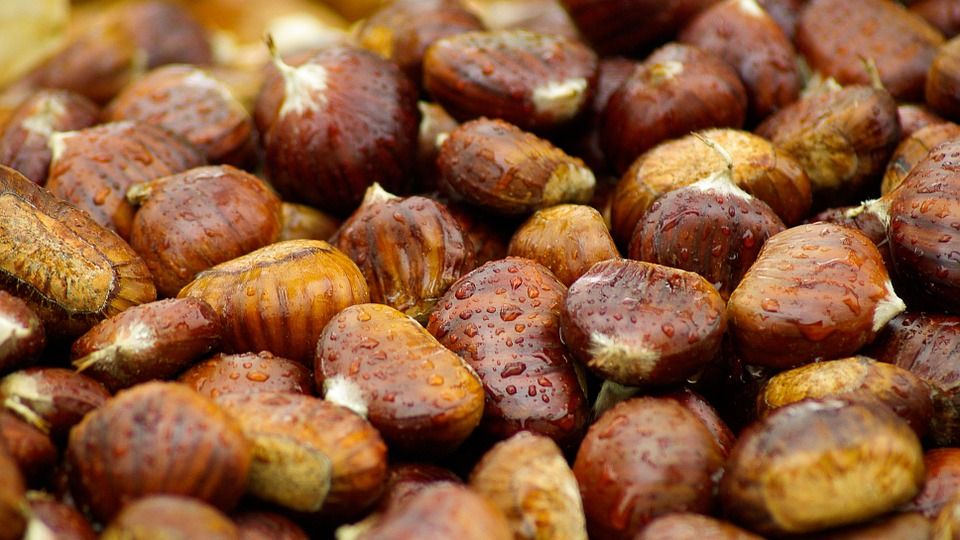 chestnuts 994138 960 720 chestnuts 994138 960 720