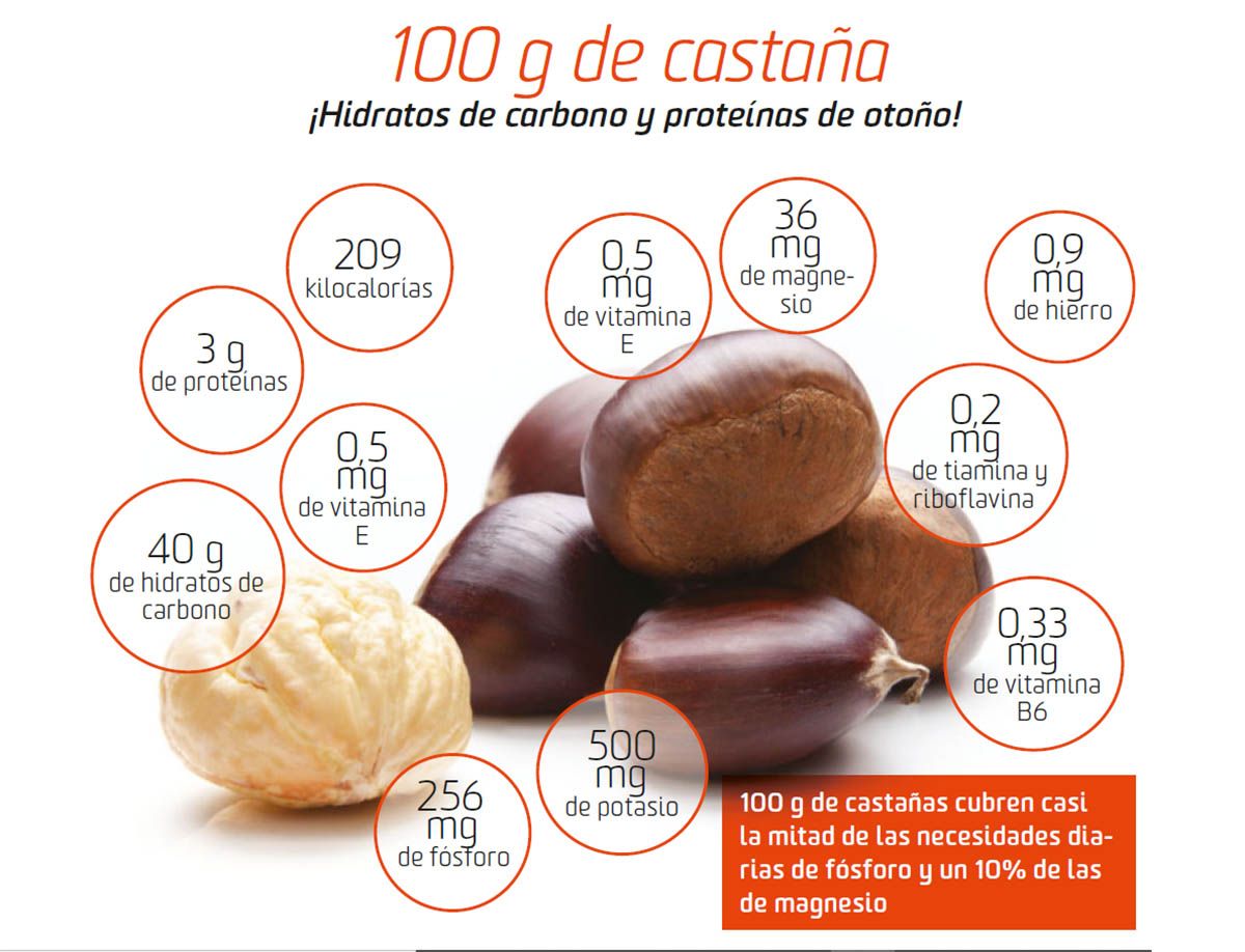 100 g de castana 100 g de castana