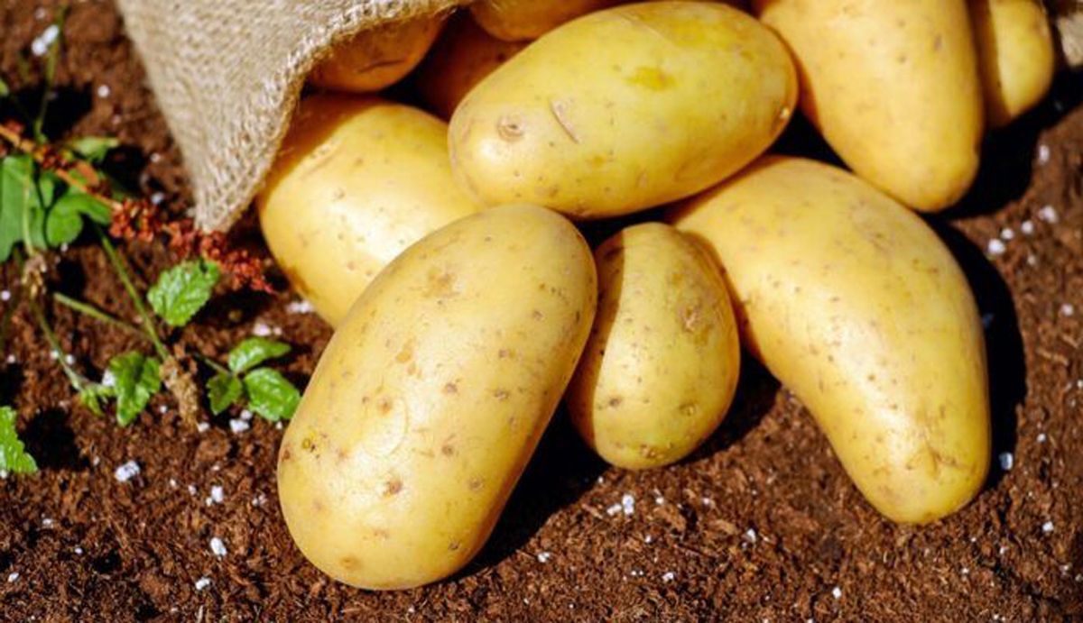 La mejor forma de conservar las patatas
